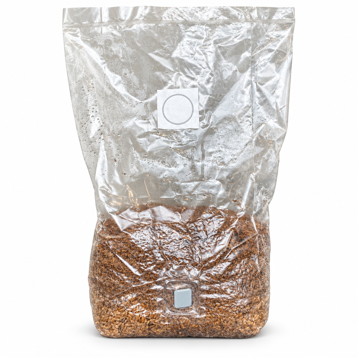 ALL IN ONE READY TO INOCULATE GRAIN RYE MASTER MUSHROOM MIX