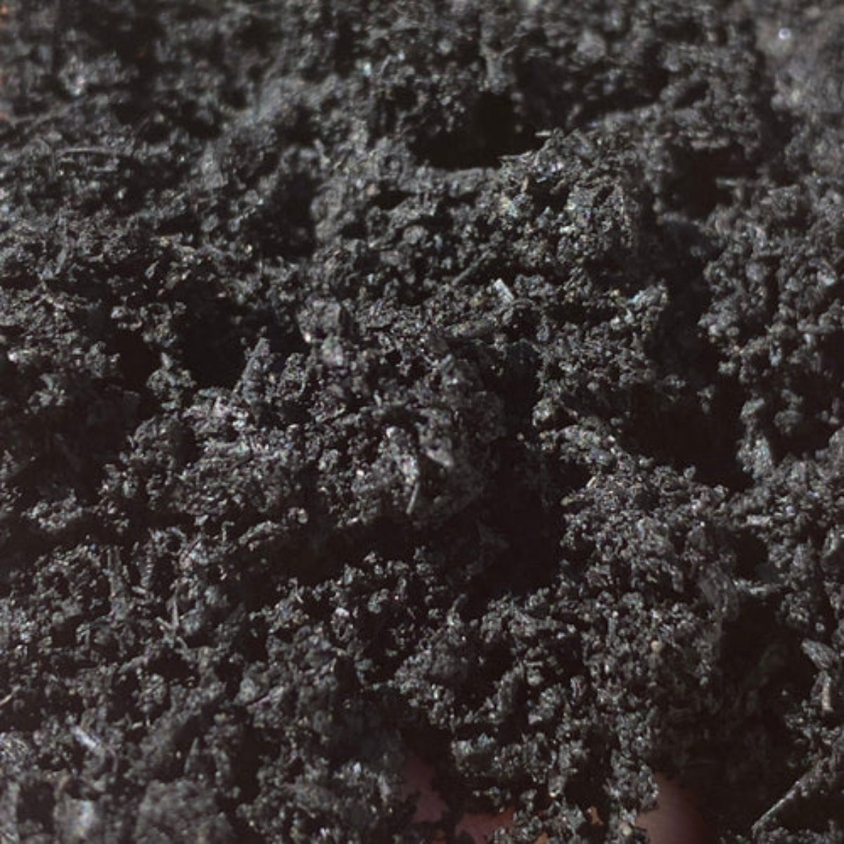 BIOCARBON - Premium Biochar (Engineered Carbon for Soil)