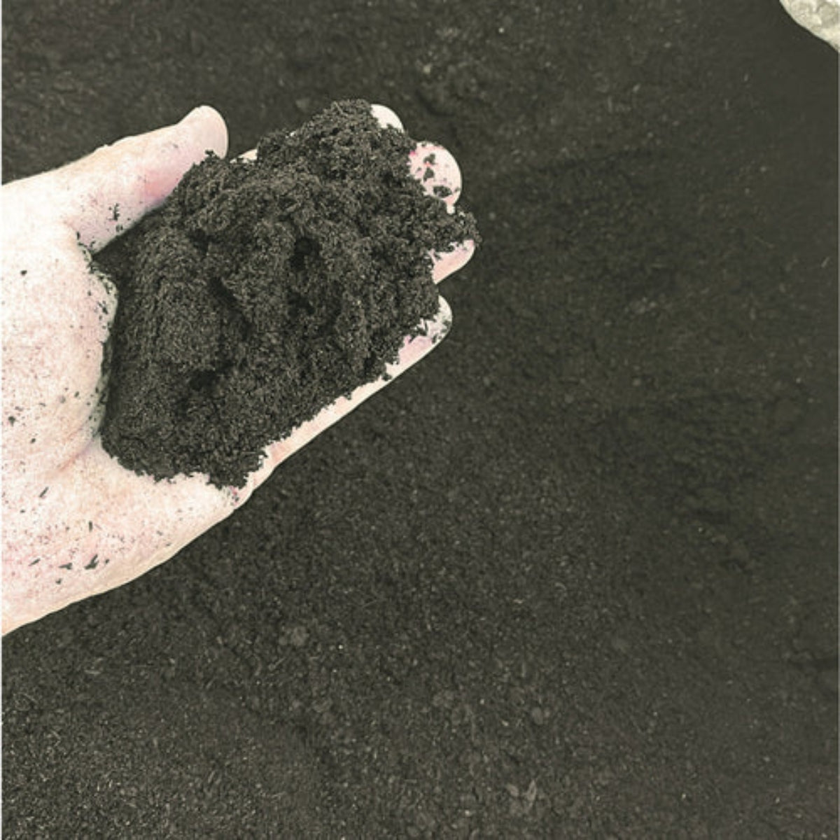 BIOCARBON - Premium Biochar (Engineered Carbon for Soil)