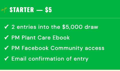 Giveaway Starter
