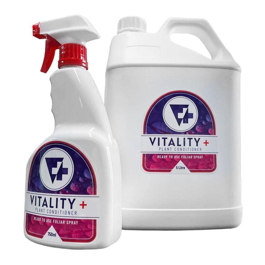 VITALITY PLUS