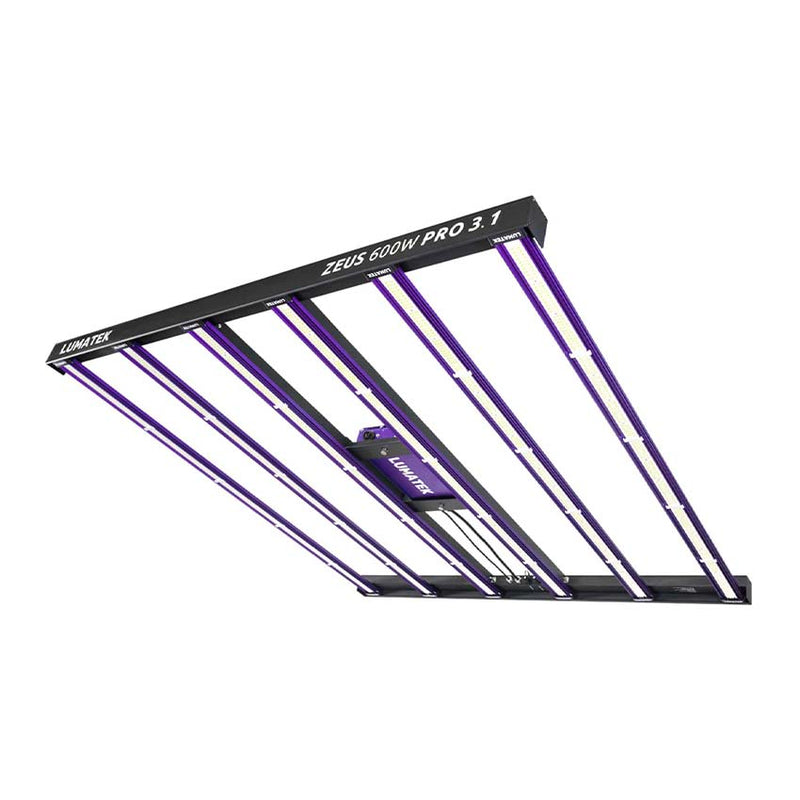 LUMATEK ZEUS 600 WATT PRO 3.1 LED - 6 BARS