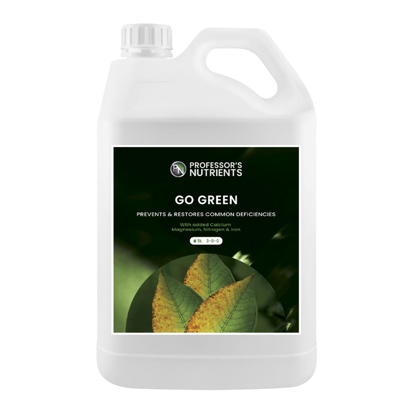 PROFESSOR'S GO GREEN