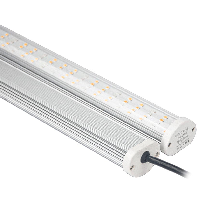 CHAINABLE INTROGRO LED BLOOM LIGHT BAR 26 WATT
