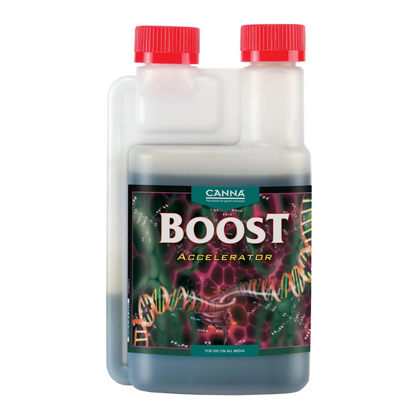 CANNA BOOST ACCELERATOR