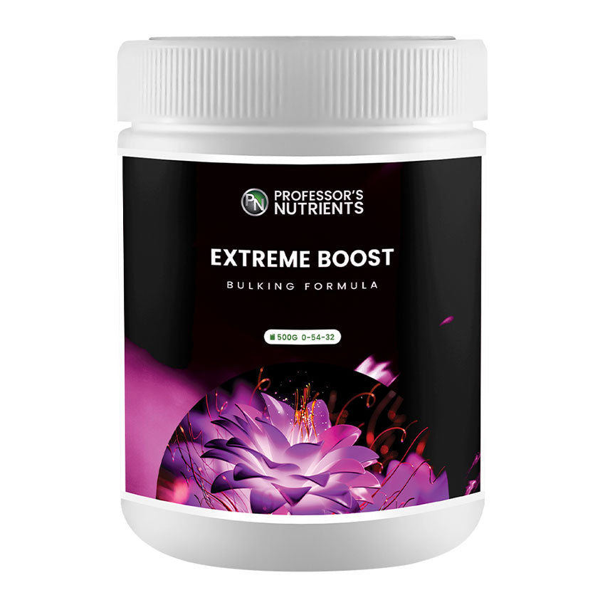 PROFESSOR'S EXTREME BOOST