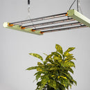 TREEGERS GL300W LED GROW LIGHT