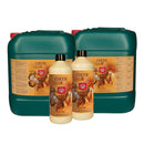 H&G COCOS A&B SET