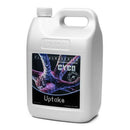 CYCO UPTAKE