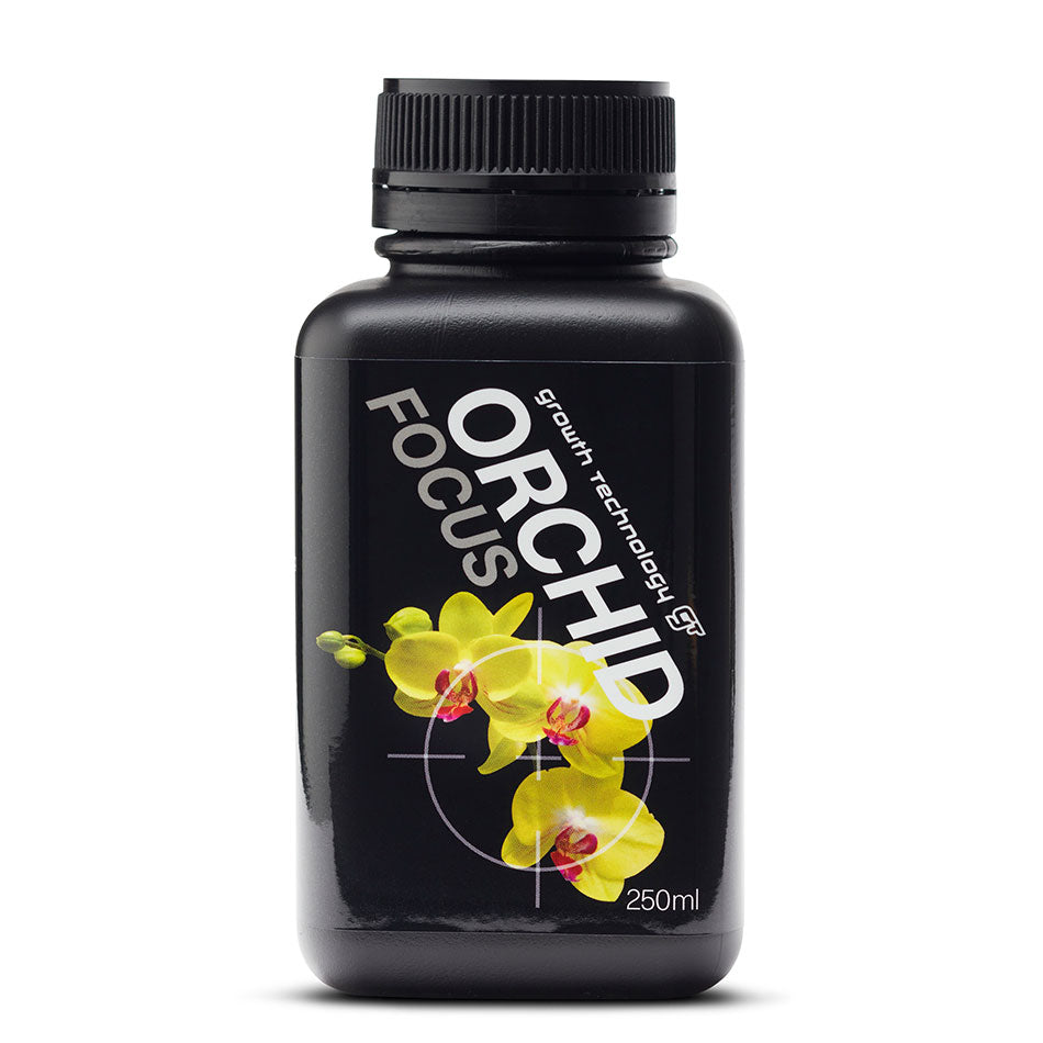 ORCHID FOCUS GENERAL