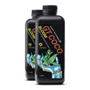 GT COCO BLOOM A & B