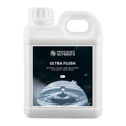 PROFESSOR'S ULTRA FLUSH