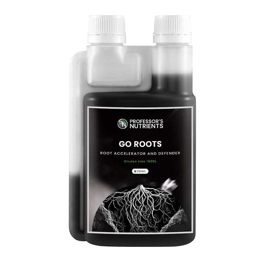 PROFESSOR'S GO ROOTS