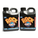 ROCK IGNITE BLOOM A + B