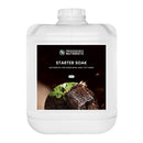 PROFESSOR'S STARTER SOAK