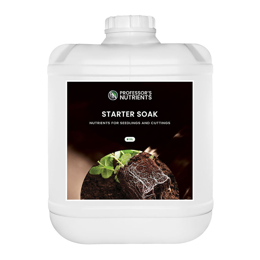 PROFESSOR'S STARTER SOAK