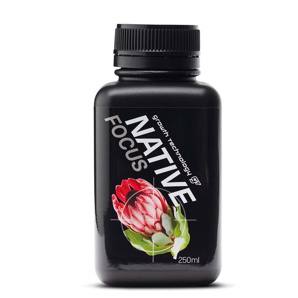 AUSTRALIAN NATIVE FOCUS