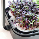 MINI MICRO-GREENS - PROPAGATION KIT C/W LED 3000 / 6400K