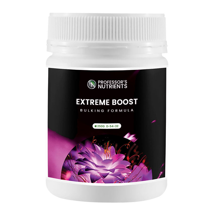 PROFESSOR'S EXTREME BOOST