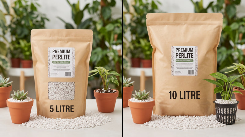 PM Perlite Coarse 4-6mm, 5L and 10L bags