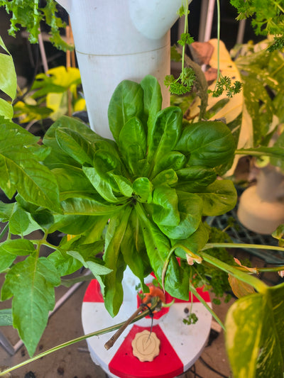 PM Grow Tower — Pro
